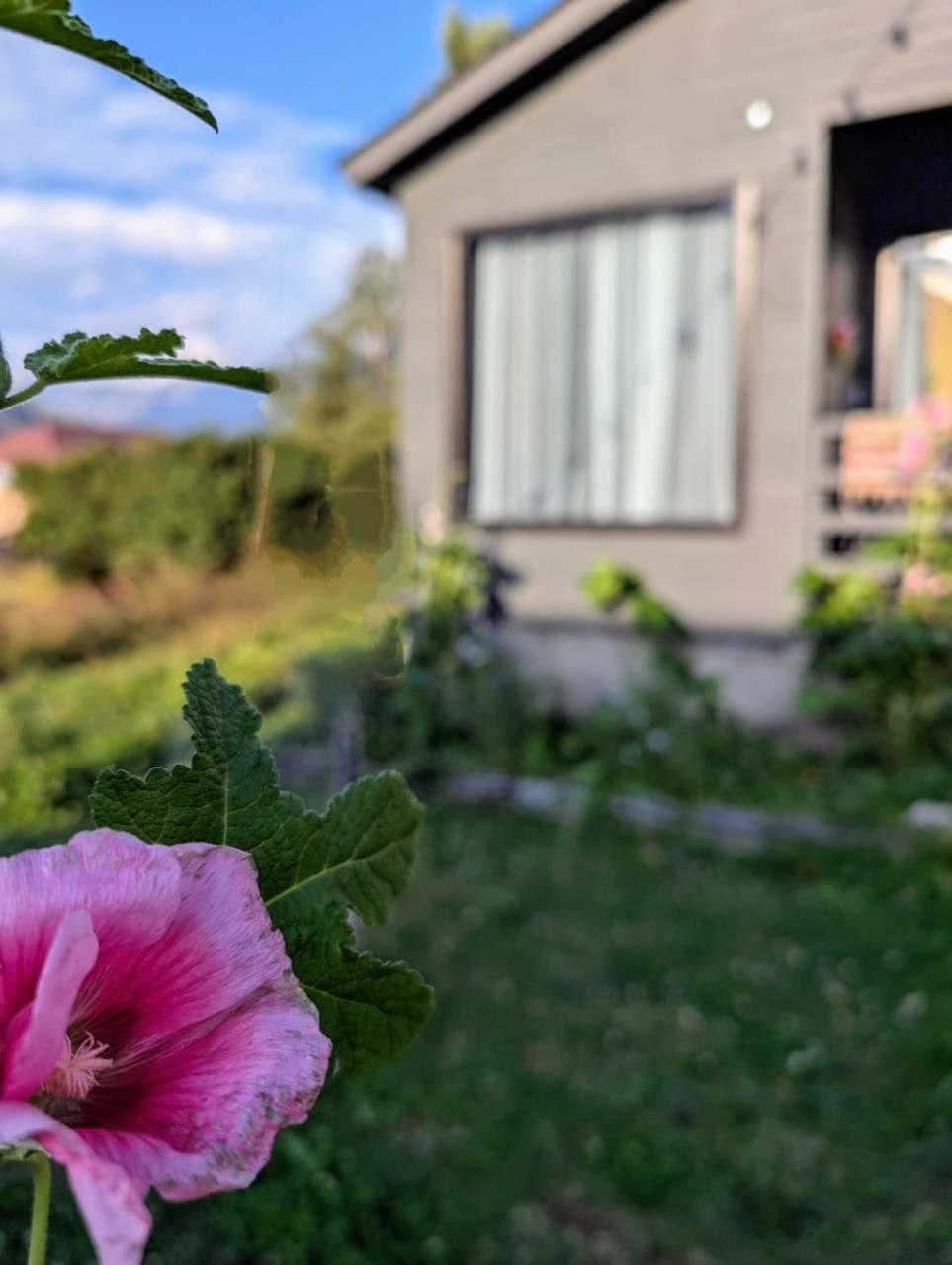 Cottage Kazbegi Sioni Exterior photo
